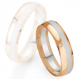 Alliance de mariage Breuning -