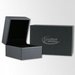 Alliance de mariage Or blanc 750 Diamant - La Boutique de l'Alliance