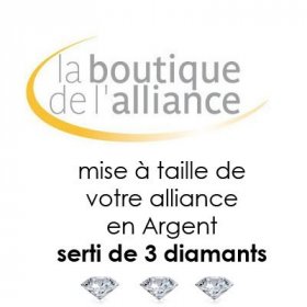 Services - Mise à taille d'alliance...